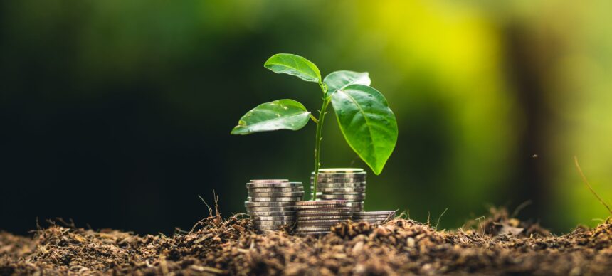 How to Gain More in Life by Serving Others How to Gain More in Life by Serving Others